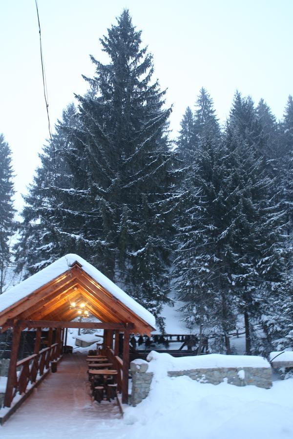 Cheremosh Yablunytsia Buitenkant foto